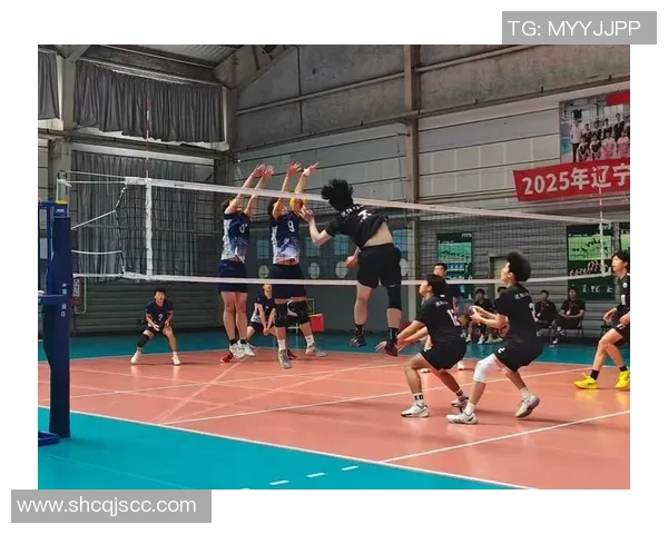 南京排球队的蜕变之旅：从传统强队到世界舞台的新生机