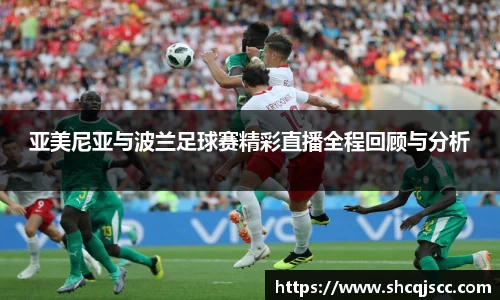 亚美尼亚与波兰足球赛精彩直播全程回顾与分析
